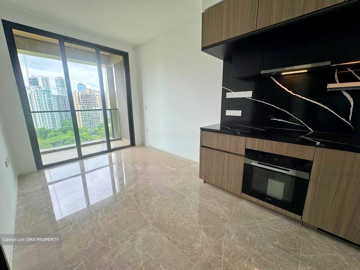 Irwell Hill Residences (D9), Apartment #589737541